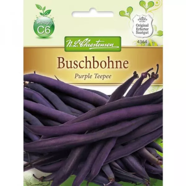 Fasola Purple Teepee