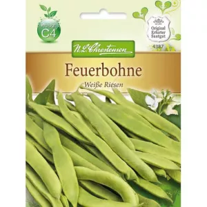 Fasola Weiße Riesen