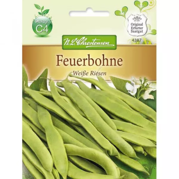 Fasola Weiße Riesen
