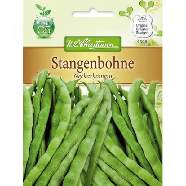 Fasola Neckarkönigin