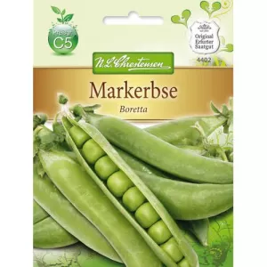 Groszek zielony Boretta