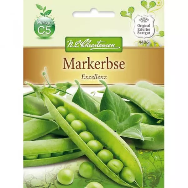 Groszek Exzellenz