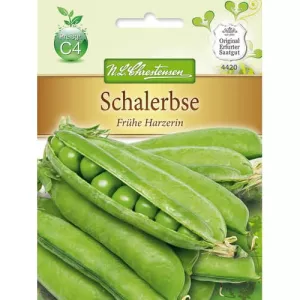 Groszek wczesny Frühe Harzerin