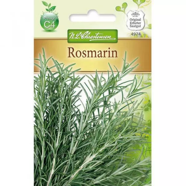 Rozmaryn