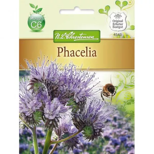 Facelia