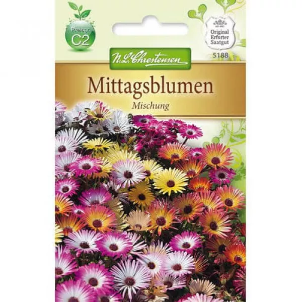 Przypołudnik (Delosperma) mix kolorów
