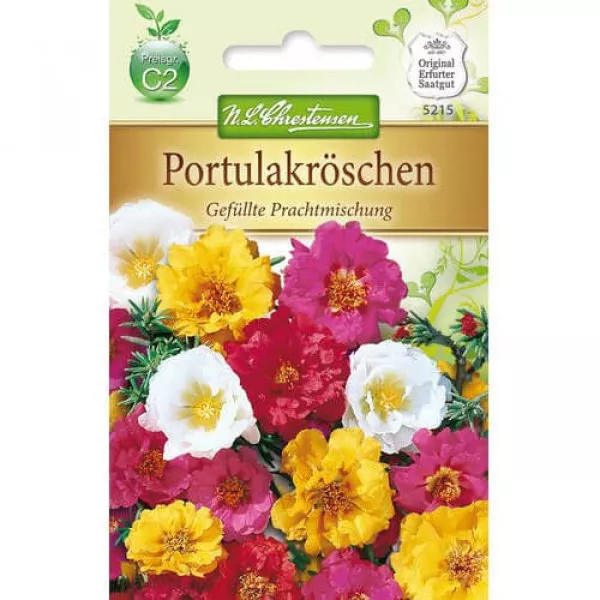 Mieszanka kolorów Portulaka