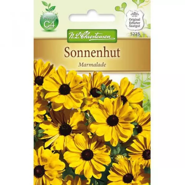 Rudbekia Marmelade