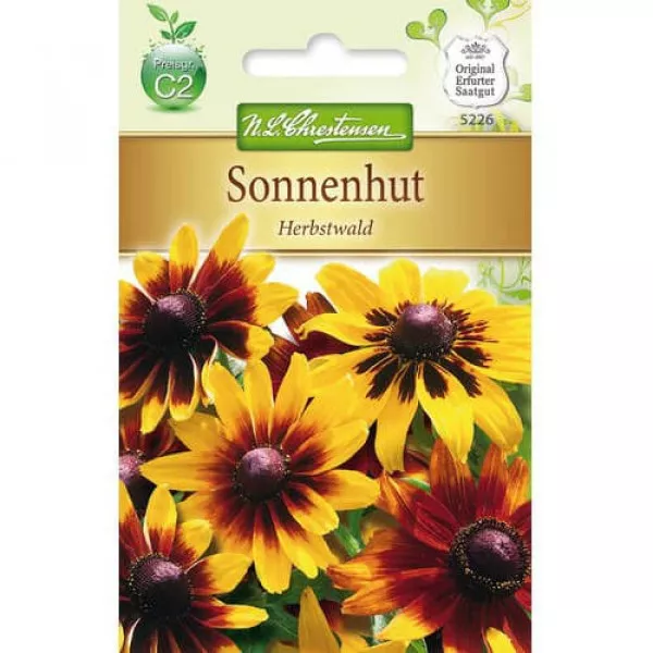 Rudbekia Herbstwald
