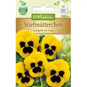 Bratek wielkokwiatowy Goldgelb mit Auge