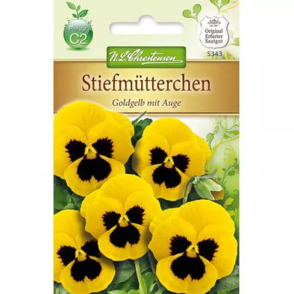 Bratek wielkokwiatowy Goldgelb mit Auge