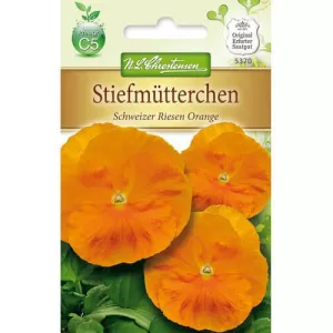 Bratek Orange