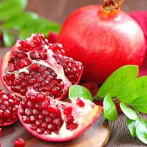 Granat Acco zaaklimatyzowany
