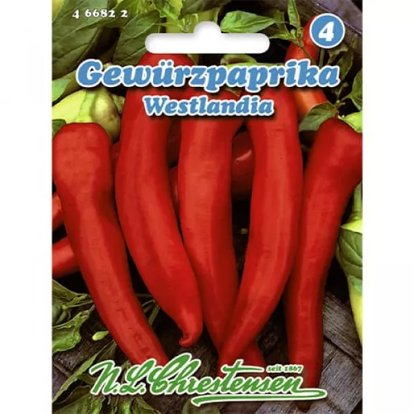 Papryka Westlandia