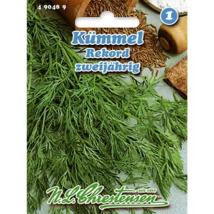 Kminek Rekord