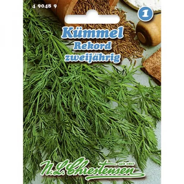 Kminek Rekord