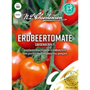 Pomidor Gardenberry F1