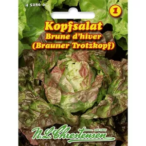 Sałata Brune d'hiver