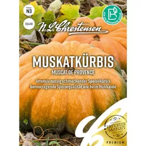 Dynia Muscat de Provence