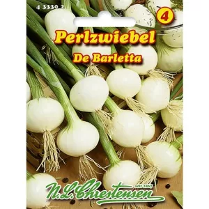 Cebula dymka De Barletta