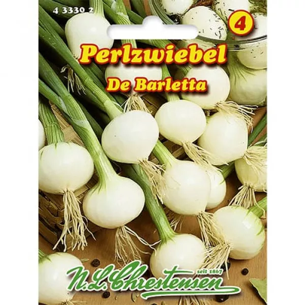 Cebula dymka De Barletta