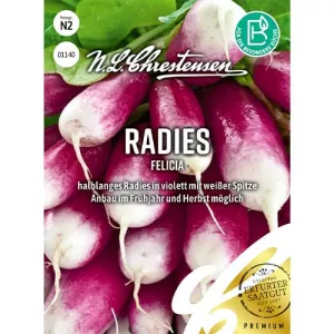 Rzodkiewka Felicia