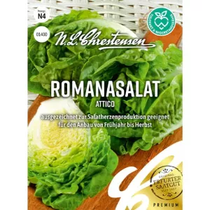 Sałata Rzymska Attico