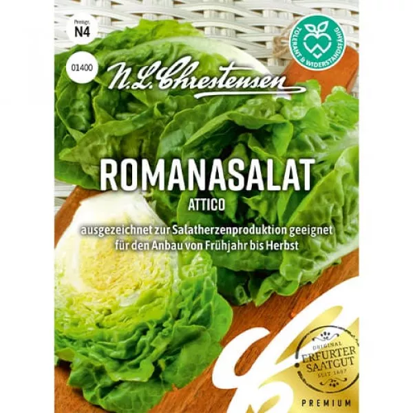 Sałata Rzymska Attico