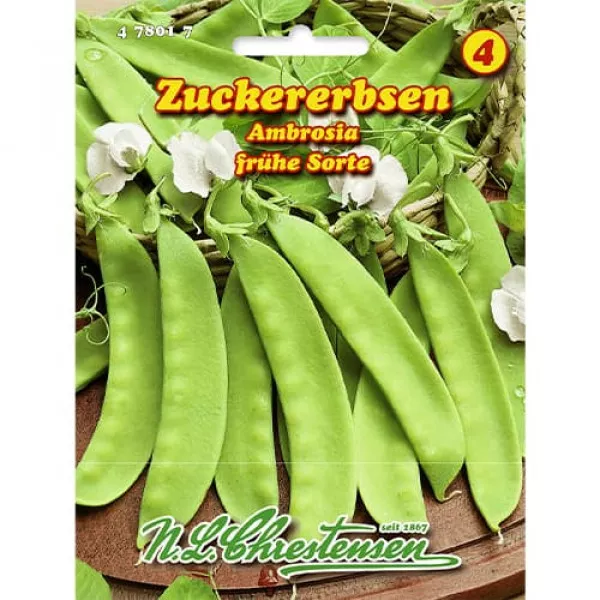 Geoszek cukrowy Ambrosia