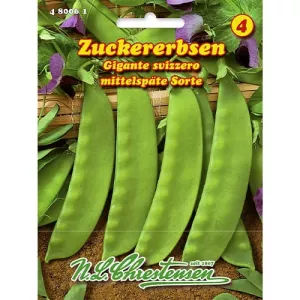 Zielony groszek Gigante Svizzero