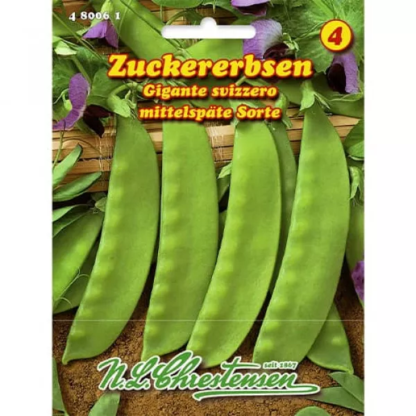 Zielony groszek Gigante Svizzero