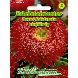 Aster ogrodowy Red Gem