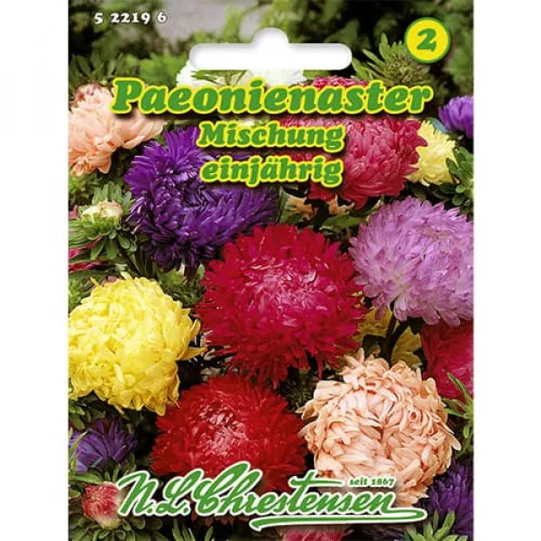 Aster peoniowy mix kolorów