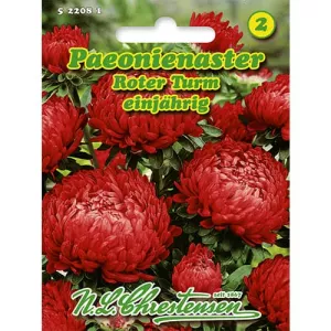 Piwonia Aster Red Tower Garden Odmiana