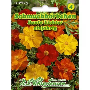 Kosmos siarkowy Bunte Lichter