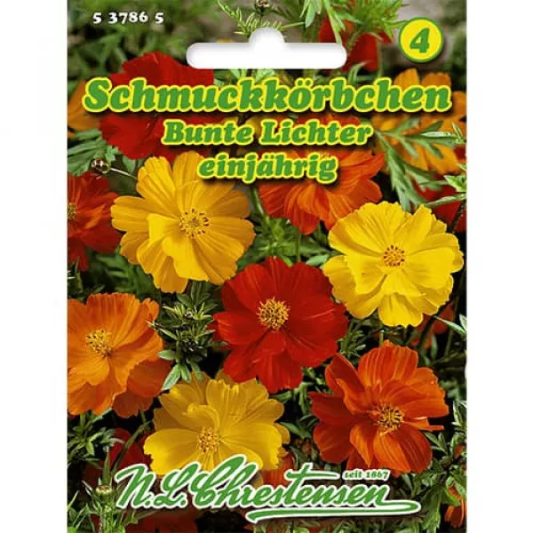 Kosmos siarkowy Bunte Lichter