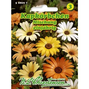 Dimorfoteka jednoroczna