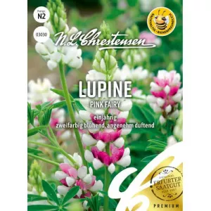 Łubin Pink Fairy 