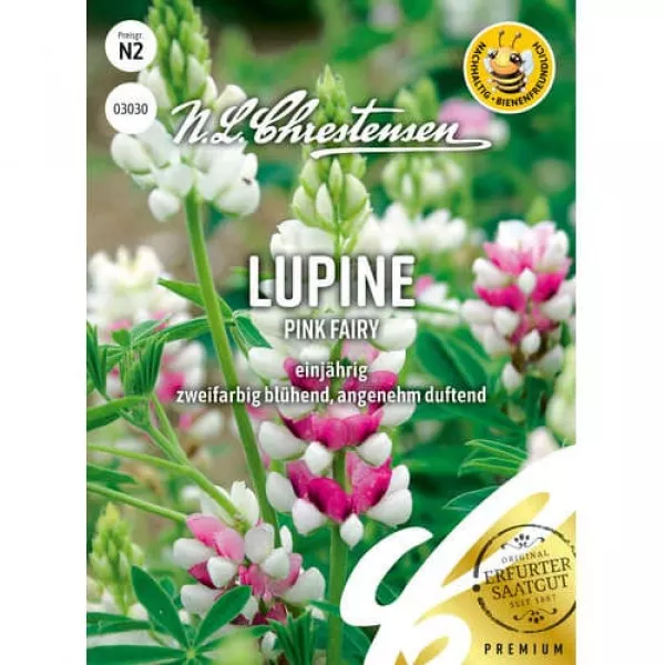 Łubin Pink Fairy 