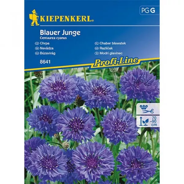Chaber bławatek Blauer Junge