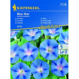 Wilec Blue Star
