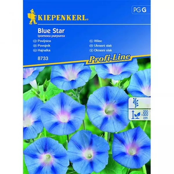 Wilec Blue Star