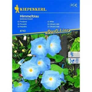 Wilec Himmelblau