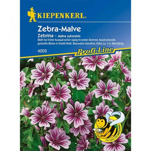 Malwa Zebrina