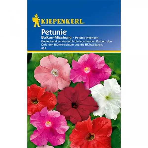 Petunia balkonowa, mix kolorów