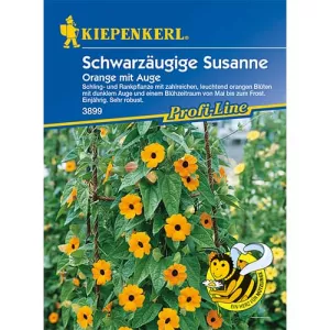 Tunbergia Orange mit Auge
