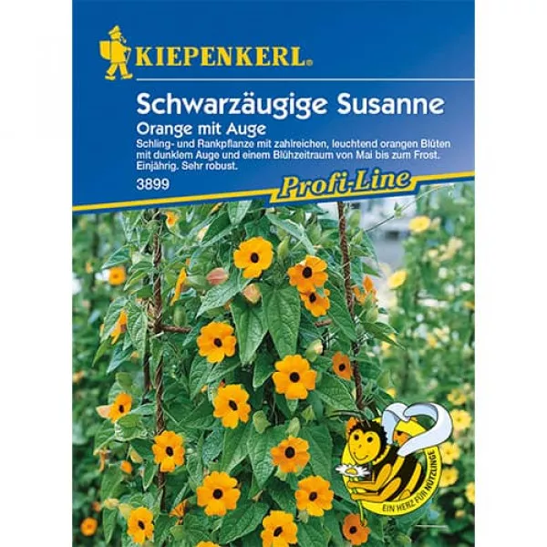 Tunbergia Orange mit Auge