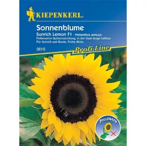 Słonecznik Sunrich Lemon F1