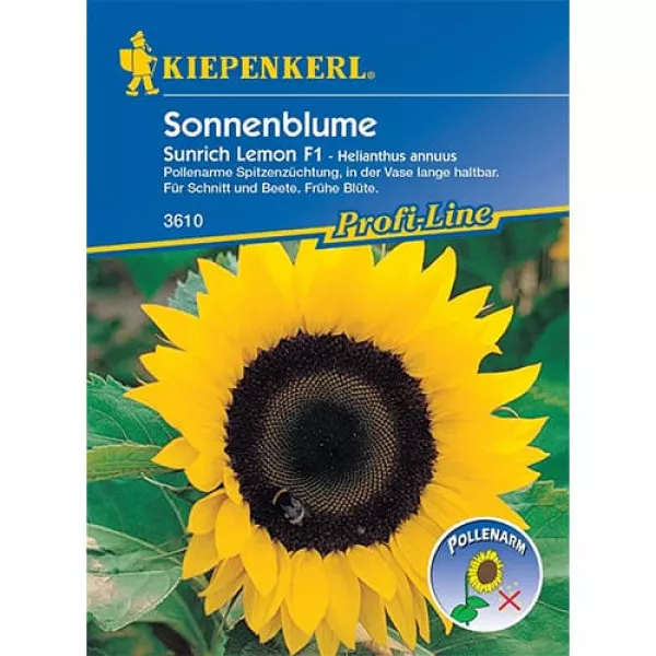 Słonecznik Sunrich Lemon F1