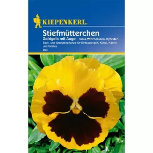 Bratek wielkokwiatowy Goldgelb mit Auge